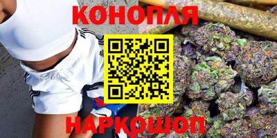 a pvp Лесосибирск