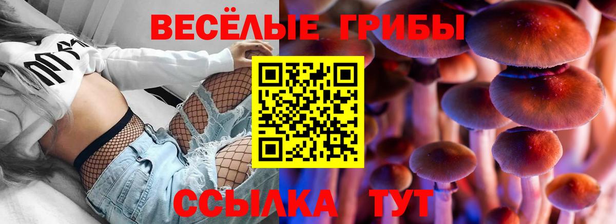 Галлюциногенные грибы Psilocybine cubensis  наркотики  Заводоуковск  Вход с VPN  Галлюциногенные грибы Magic Shrooms 