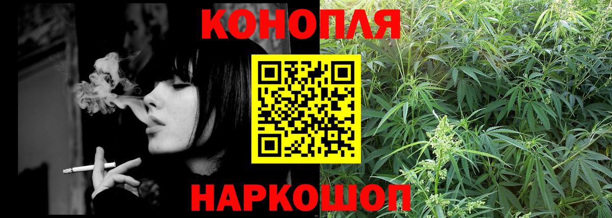 Канабис план Заводоуковск